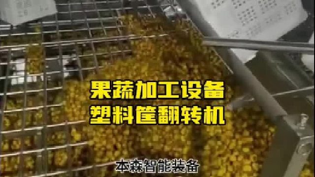 果蔬加工设备塑料筐翻转机