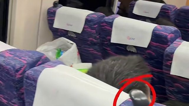 一直不明白高铁座椅上面的“角”是干什么用的？有人知道吗？