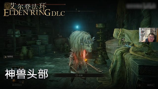 信仰攻略组《艾尔登法环dlc》实况第五集：神兽头部