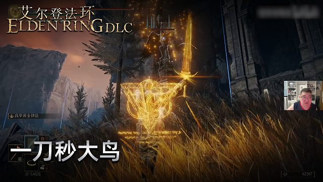 信仰攻略组《艾尔登法环dlc》实况第六集：一刀秒大鸟