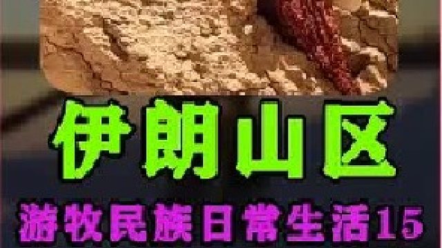 伊朗游牧民族日常生活采集积雪  (4)