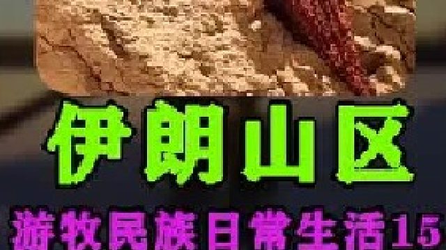 伊朗游牧民族日常生活采集积雪  (5)