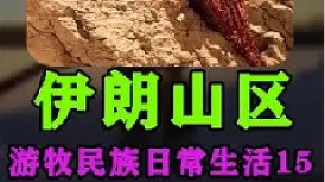 伊朗游牧民族日常生活采集积雪  (6)