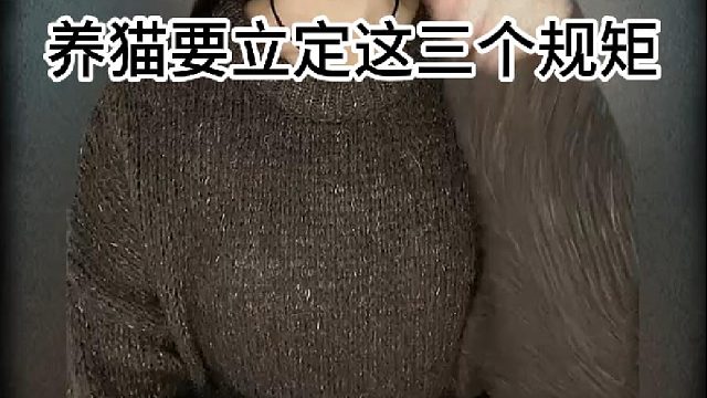 养猫要立定这三个规矩