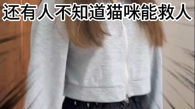 还有人不知道猫咪能救人