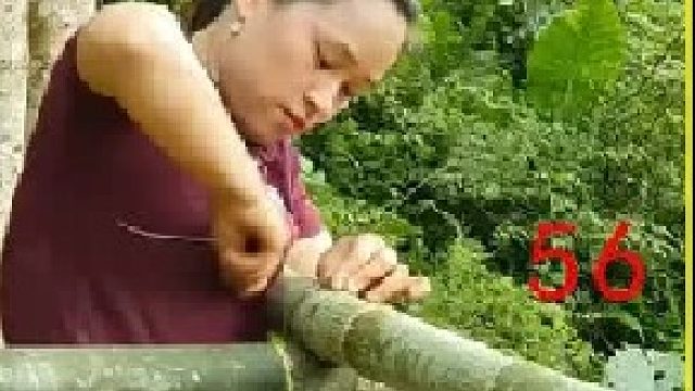 捕捉牛蛙 收获丝瓜