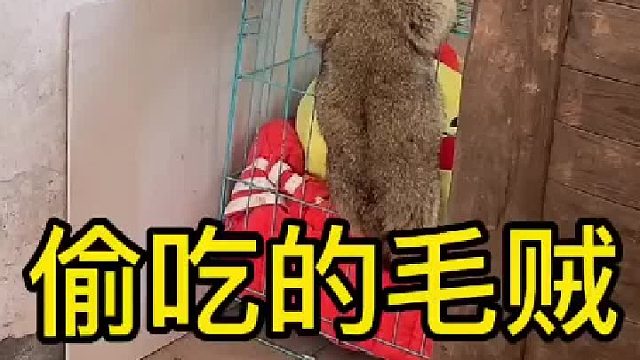 本来是留着慢慢吃的，这好，两下干完了。