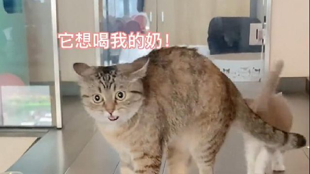 我原来以为有点灰只暖我一个人的