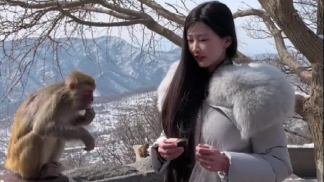 在红山动物园遇见AI，遇见可爱的小动物们