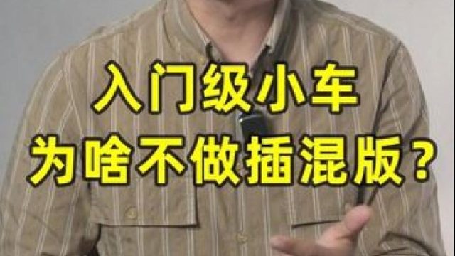 入门级小车为啥不做插混版