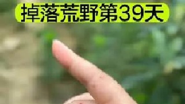 掉落荒野的第39天我终于又和小黑狗重逢了