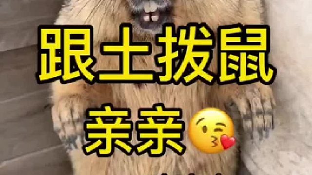 拆拆：我不干净了，我不干净了。。。。