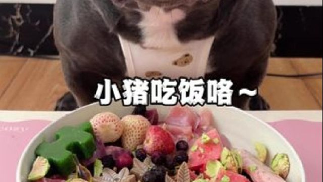 小猪吃饭咯