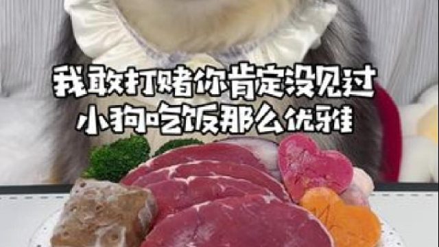 优雅小狗手机如何吃饭的