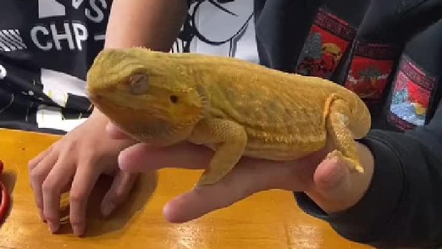 当睁开眼的时候，我就知道我失败了，来不及了，唉。