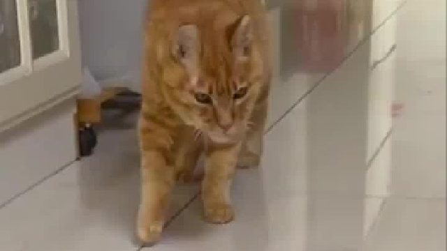 网友：辈分太大 不敢使唤。