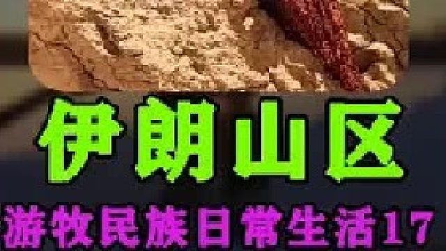 伊朗游牧民族日常生活 徒步迁徙 (3)