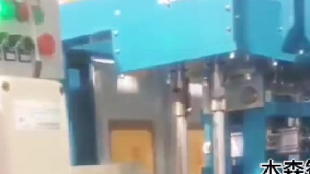 全自动25公斤大袋包装成型机