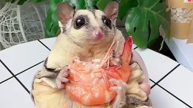 当代年轻蜜，都不愿意让别人帮忙带娃了吗