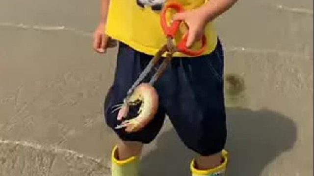 赶海赶海赶海啦