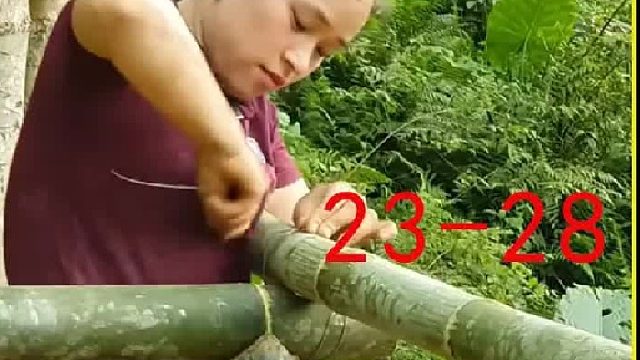 独自在大山中发展立体农业 (2)