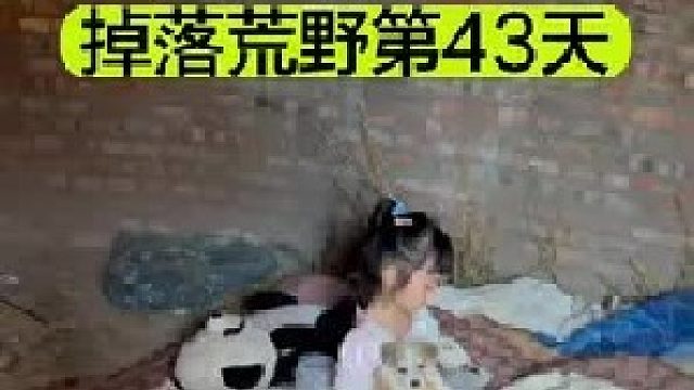 掉落荒野的第43天天都还没亮小粉丝就来我家敲门了