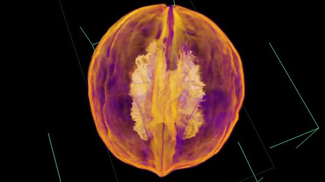 naomi-ct纳奥米科技-空核桃三维CT彩图-桌面式显微CT微米ct-无损检测--3D建模三维扫描