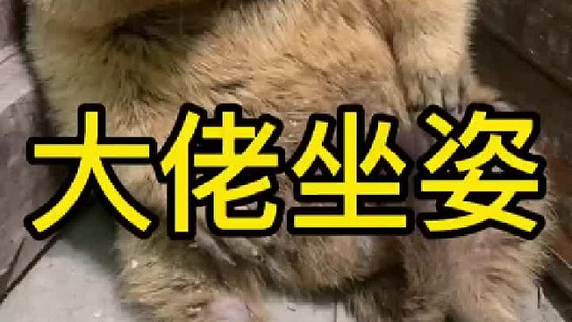 感谢大家的关心和支持