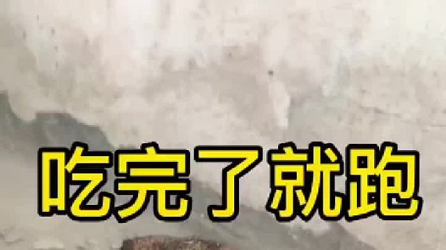 吃了我的东西，摸都不让多摸，死抠死抠的。