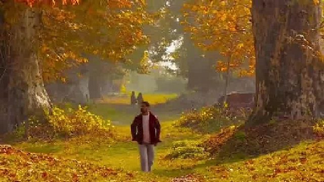 人群太吵了，我想去听听旷野的风！