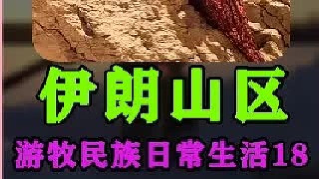 伊朗游牧民族日常生活 建造土坯房  (1)