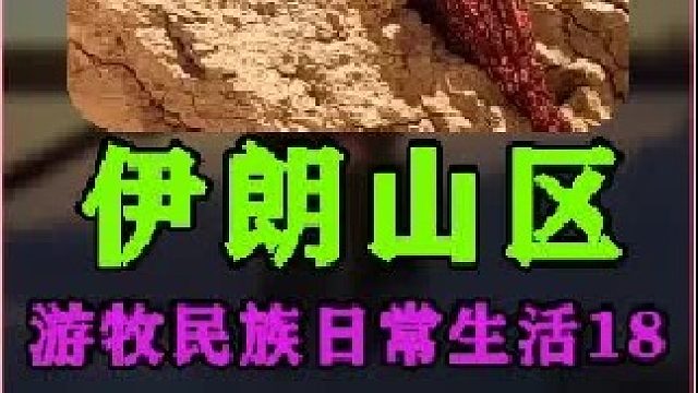 伊朗游牧民族日常生活 建造土坯房  (2)