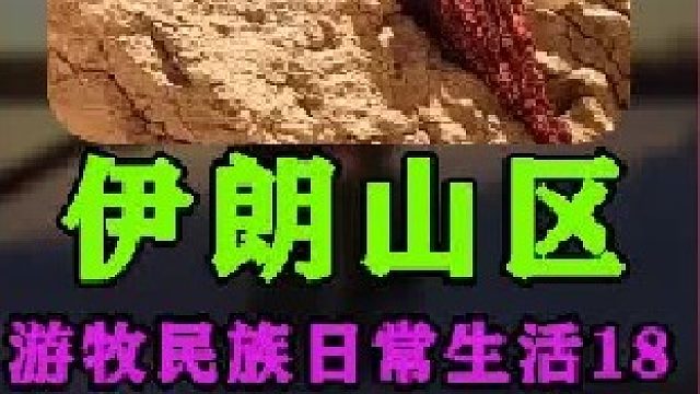 伊朗游牧民族日常生活 建造土坯房  (3)