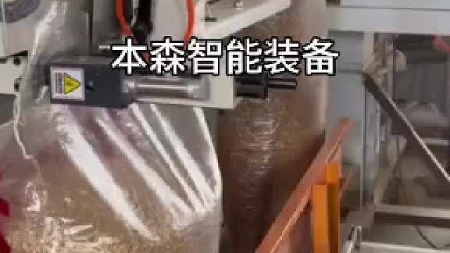 25kg小麦种子包装机