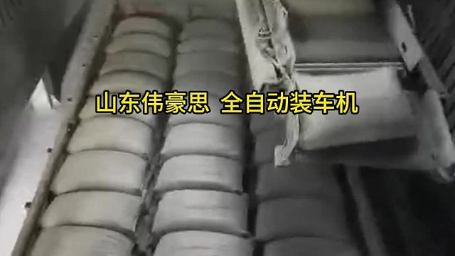 片碱全自动装车机 编织袋自动装车系统