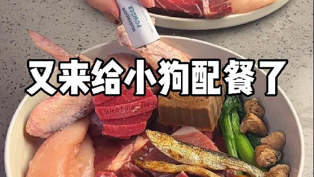 又来给小狗配餐了