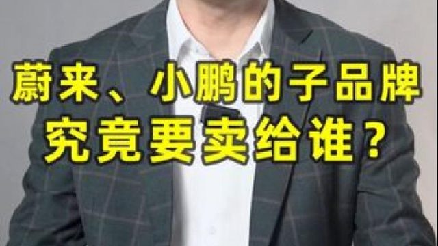 蔚来、小鹏的子品牌究竟要卖给谁？