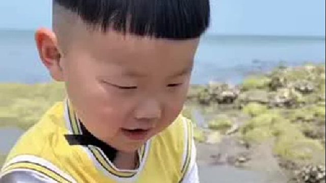 赶海赶海赶海啦