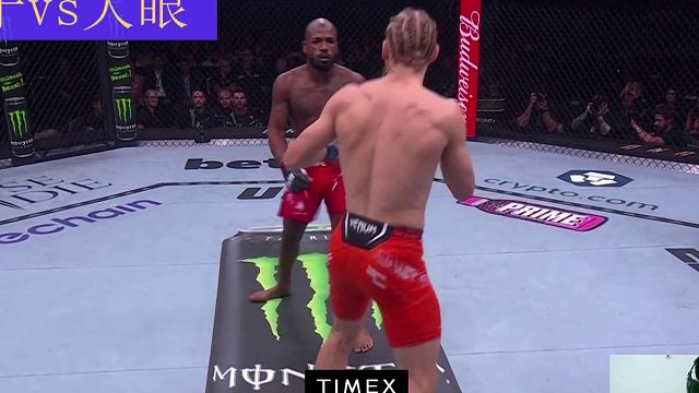 格林vs皮姆布莱特