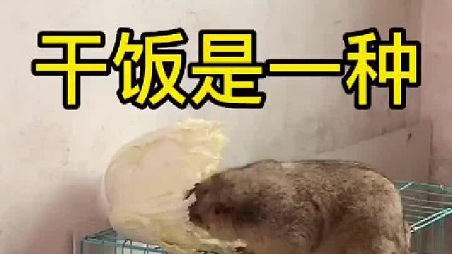 发个库存，爱你们