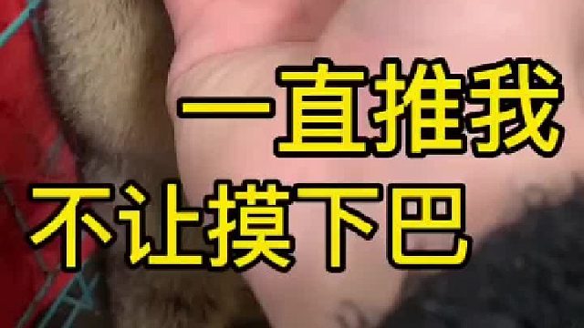 推推推推推，我tui