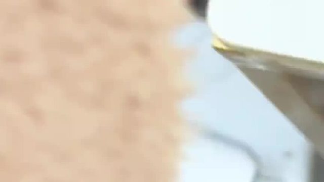 开局几颗蛹，蝴蝶全靠孵