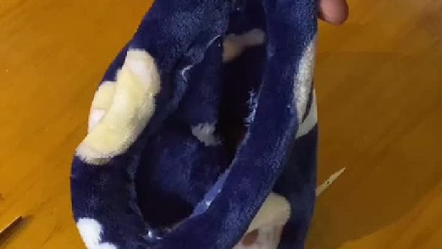 蜜袋鼯剪指甲 好像每位朋友都不太会，来一个