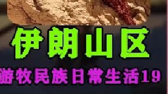 伊朗游牧民族家族集体徒步山间走亲戚 (1)