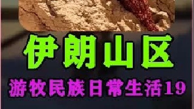 伊朗游牧民族家族集体徒步山间走亲戚 (3)