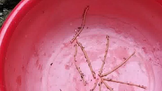 毫无疑问，团结的重要性