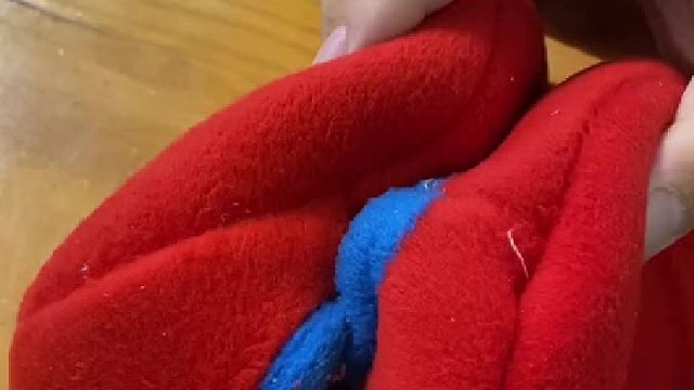 训练蜜袋鼯 不要怕，有了布袋袋手套都不需要