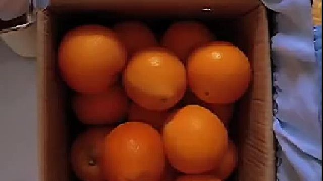 天气太热，来点饭后水果吧……