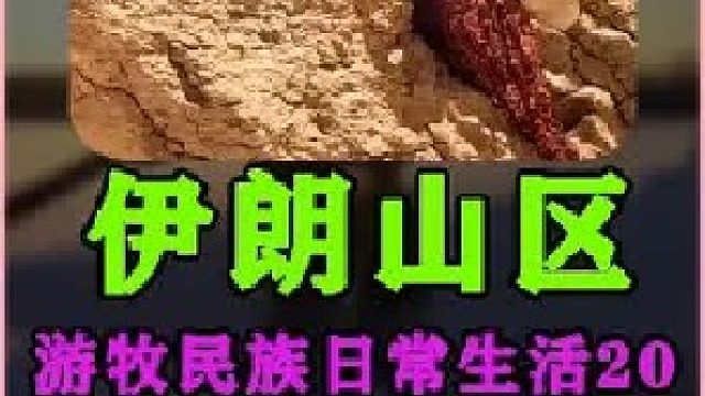 伊朗游牧民族妇女日常生活 (1)