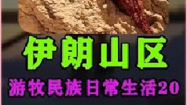 伊朗游牧民族妇女日常生活 (2)